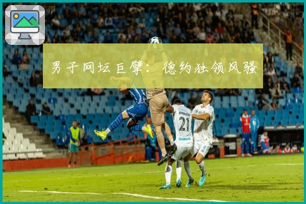 男子网坛巨擘：德约独领风骚