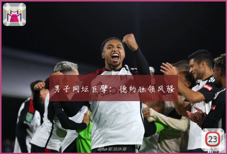 男子网坛巨擘：德约独领风骚